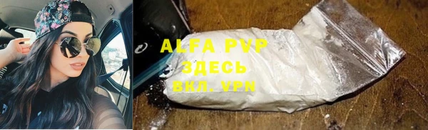 тгк Инсар