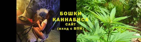твердый Иннополис