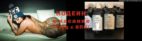 тгк Инсар
