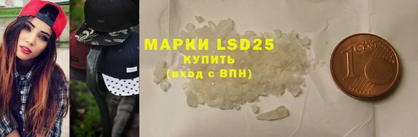 тгк Инсар