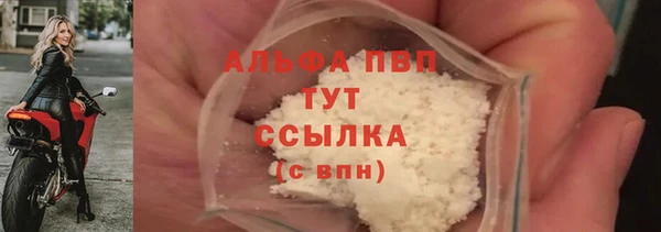твердый Иннополис