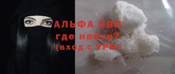 тгк Инсар