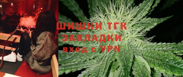 твердый Иннополис