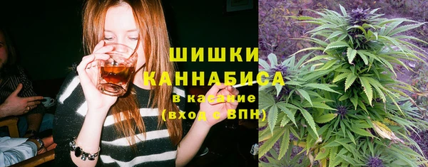 твердый Иннополис
