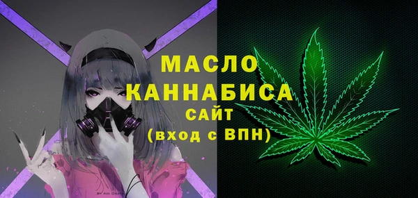 тгк Инсар