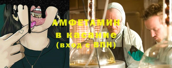тгк Инсар