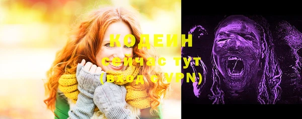 твердый Иннополис