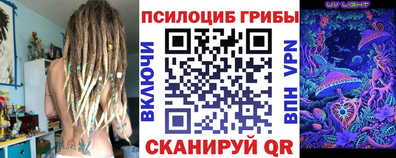 Псилоцибиновые грибы прущие грибы  Купить где  Курчалой 