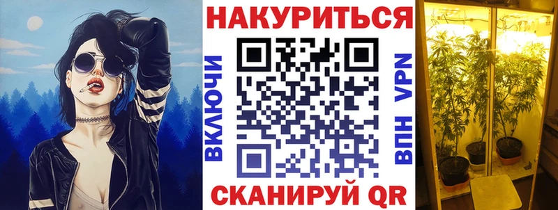 Канабис THC 21%  Купить закладки  Курчалой 